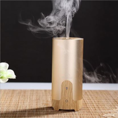 图片 Color: Golden, Product specification: USB data line - Car aromatherapy essential oil humidifier diffuser atomizer