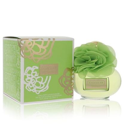 Picture of Coach Poppy Citrine Blossom by Coach Eau De Parfum Spray 3.4 oz (Women)