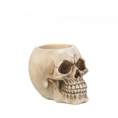 Picture of Skull Pen Holder