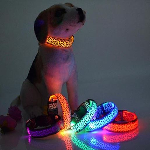 Picture of Size: S, Color: Yellow - LED Dog Collar Safety Adjustable Nylon Leopard Pet Collar