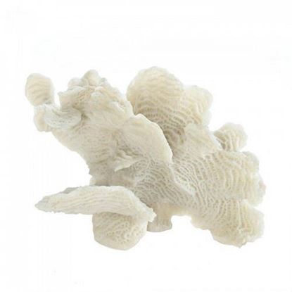 Picture of Large White Coral Tabletop Decor