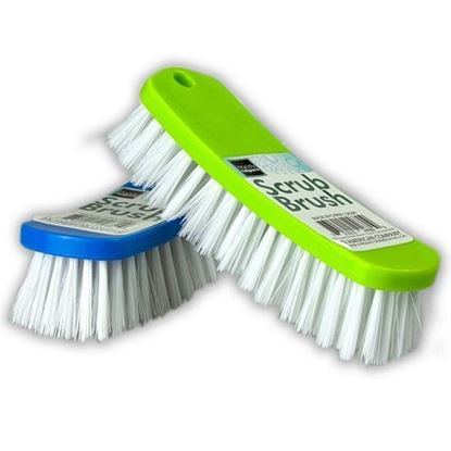 Picture of . Case of [24] Scrub Brush, 6" x 1.85" .