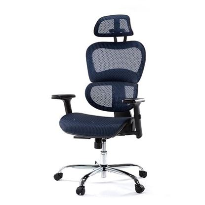 Picture of Color: Blue  DR Mesh Office Chair, High Back with Adjustable Headrest and Armrests