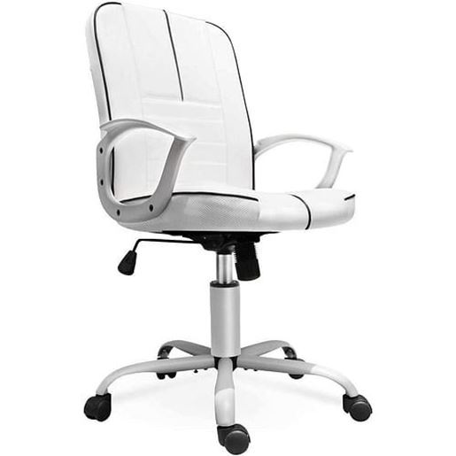 Picture of Color: Color  DR Ergonomic Executive Office Chair Task Chair Swivel Office Chair Comfortable Bonded Leather Desk Chair Computer Chair Home Office Chair with Wheels and Arms, White C-3136-WT