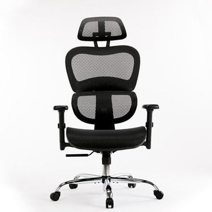 Picture of Color: Black  DR Mesh Office Chair, High Back with Adjustable Headrest and Armrests