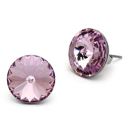 Picture of TK1042 - Stainless Steel Earrings High polished (no plating) Women Top Grade Crystal Light Amethyst