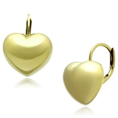 Picture of TK1128 - Stainless Steel Earrings IP Gold(Ion Plating) Women No Stone No Stone