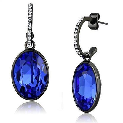 Picture of TK2538 - Stainless Steel Earrings IP Black(Ion Plating) Women Top Grade Crystal Sapphire