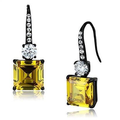 Picture of TK2539 - Stainless Steel Earrings IP Black(Ion Plating) Women AAA Grade CZ Topaz