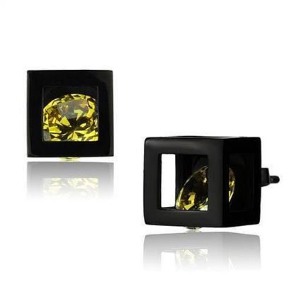 Picture of TK2540 - Stainless Steel Earrings IP Black(Ion Plating) Women AAA Grade CZ Topaz