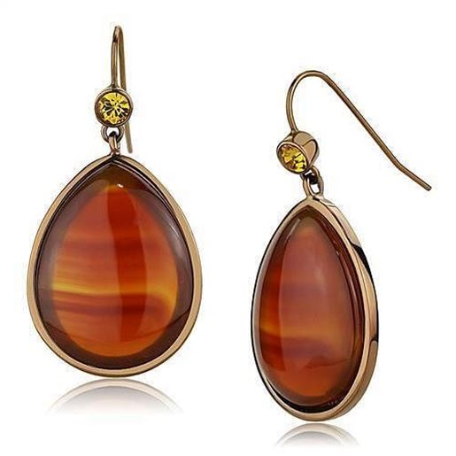 Picture of TK2575 - Stainless Steel Earrings IP Coffee light Women Semi-Precious Siam