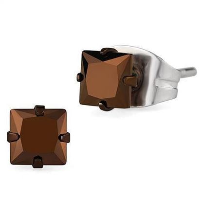 Picture of TK2582 - Stainless Steel Earrings Two Tone IP Light Brown (IP Light coffee) Women AAA Grade CZ Light Coffee