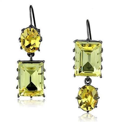 Picture of TK2709 - Stainless Steel Earrings IP Light Black  (IP Gun) Women Top Grade Crystal Multi Color