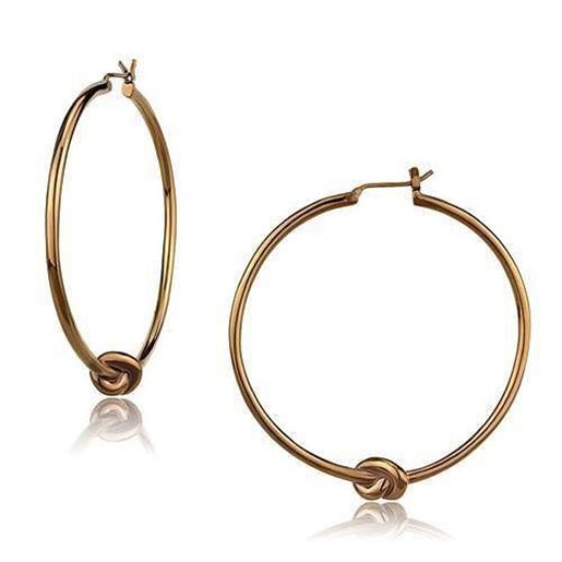 Picture of TK2853 - Stainless Steel Earrings IP Coffee light Women No Stone No Stone