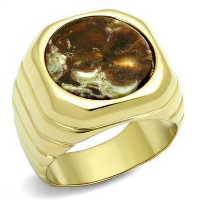 Picture of TK3017 - Stainless Steel Ring IP Gold(Ion Plating) Men Semi-Precious Smoked Quartz