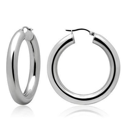 Picture of TK424 - Stainless Steel Earrings High polished (no plating) Women No Stone No Stone