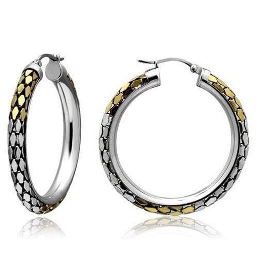 Picture of TK430 - Stainless Steel Earrings Gold+Rhodium Women No Stone No Stone