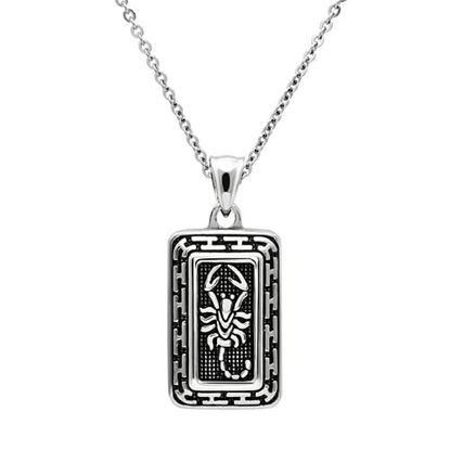 Picture of TK546 - Stainless Steel Chain Pendant High polished (no plating) Men No Stone No Stone