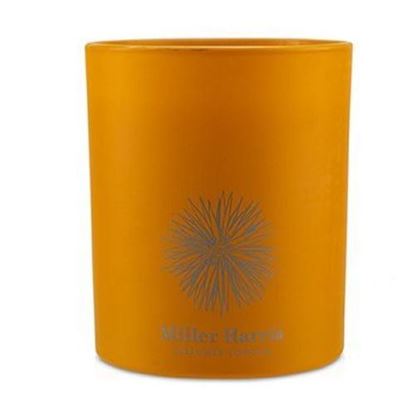 Picture of Candle - Tangerine Vert  185g/6.5oz