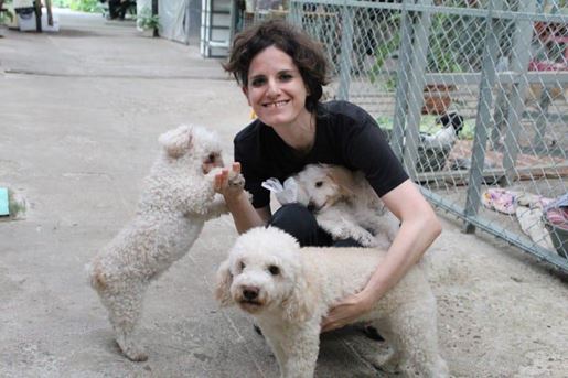 Animal Love Rescue Center