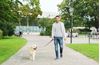 Pawls Pack Dog Walking Services 