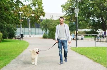 Pawls Pack Dog Walking Services 