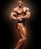 South African-born American  IFBB  professional bodybuilder