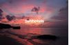 ZenHotels