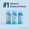 	Spa & Personal Grooming
