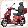 Scooters Outdoors & Recreation,