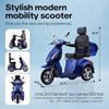 Scooters Outdoors & Recreation,