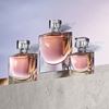 Fragrance, Cosmetics & Skin Care