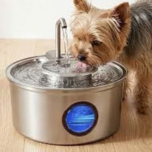 Hicuper - Amazon Seller Keep your pets hydrated with the Hicuper Pet Supplies 
